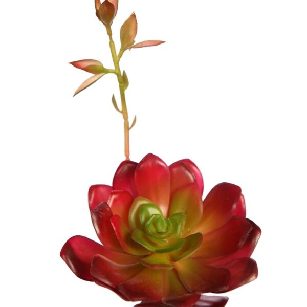 ECHEVERIA COLORATA BROTE ARTIFICIAL 14CM - Imagen 2