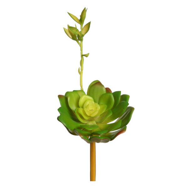 ECHEVERIA COLORATA BROTE ARTIFICIAL 14CM - Imagen 3