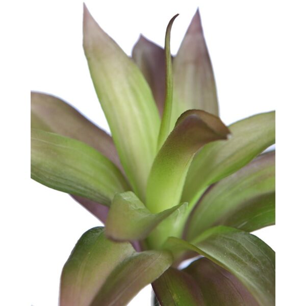PLANTA SUCULENTA SIRIUS ARTIFICIAL 20CM - Imagen 4