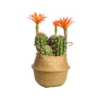 CUBREMACETA PALMITO 18CM - Imagen 6