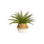 CUBREMACETA PALMITO 23CM - Imagen 2