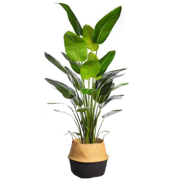 CUBREMACETA PALMITO 38CM - Imagen 2