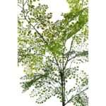 RAMAJE DICHONDRIA ARTIFICIAL 100CM - Imagen 2