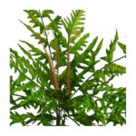 MATA DE HELECHO ARTIFICIAL 45CM - Imagen 2