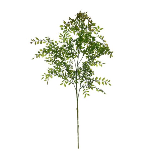 Y0721.13_0 VARA DE EUCALIPTO 100CM - Imagen 1