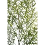 VARA DE ESPARRAGUERA ARTIFICIAL 90CM - Imagen 2