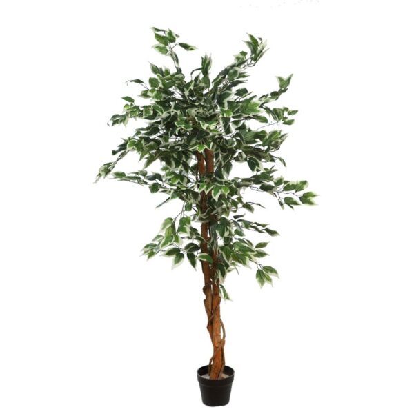 Y0740_0 ARBOL DE FICUS BICOLOR ARTIFICIAL - Imagen 1