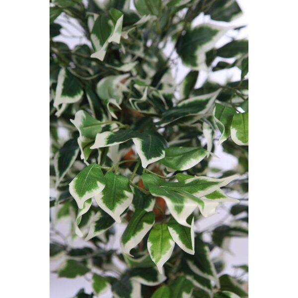 ARBOL DE FICUS BICOLOR ARTIFICIAL - Imagen 2