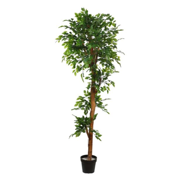 Y0742_0 ARBOL DE FICUS VERDE ARTIFICIAL 180CM - Imagen 1