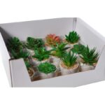CAJA CACTUS MINI ARTIFICIAL  12 PCS - Imagen 3