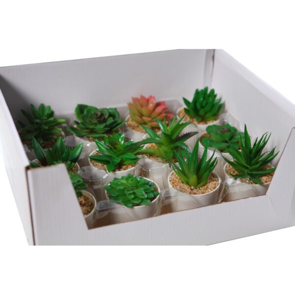 CAJA CACTUS MINI ARTIFICIAL  12 PCS - Imagen 3