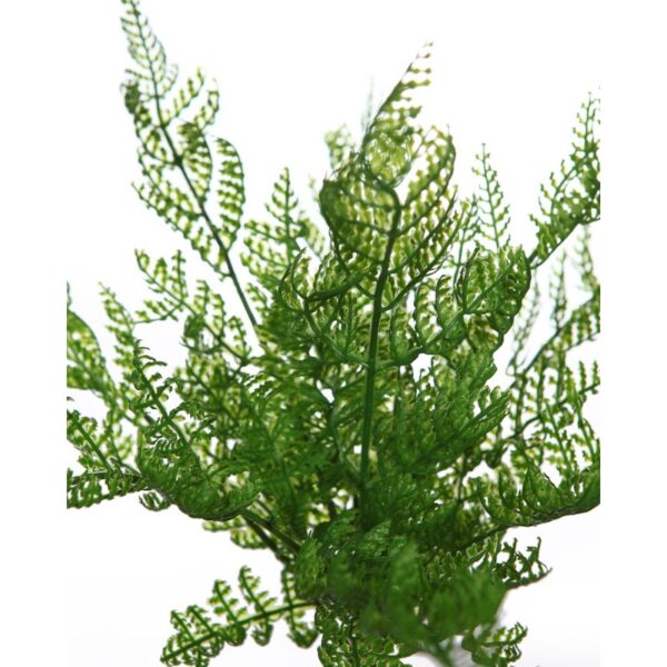 MATA MIMOSA ARTIFICIAL 28CM - Imagen 2