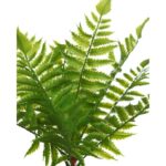 HELECHO ARTIFICIAL 30CM - Imagen 2