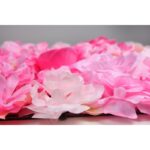 MURO ROSAS Y HORTENSIAS 60X40CM - Imagen 3