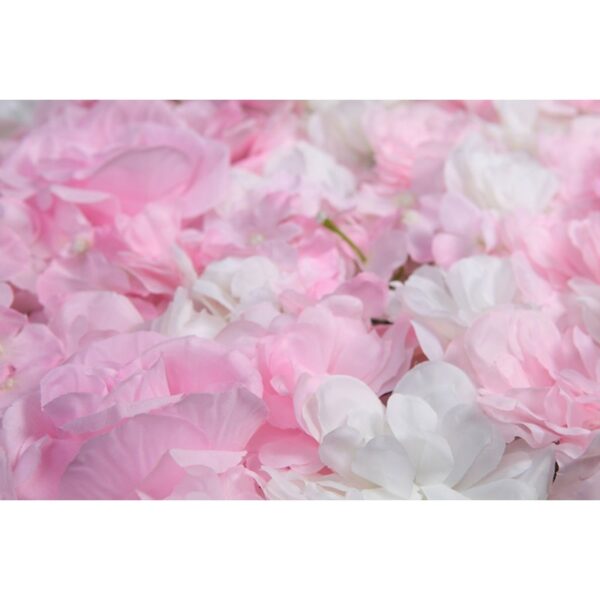 MURO ROSAS Y HORTENSIAS 60X40CM - Imagen 5