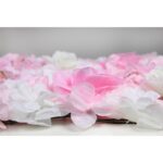 MURO ROSAS Y HORTENSIAS 60X40CM - Imagen 6