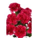 RAMO DE CLAVELES X 12 ARITFICIAL 50CM - Imagen 8