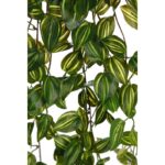 FITONIA COLGANTE ARTIFICIAL 90CM - Imagen 2