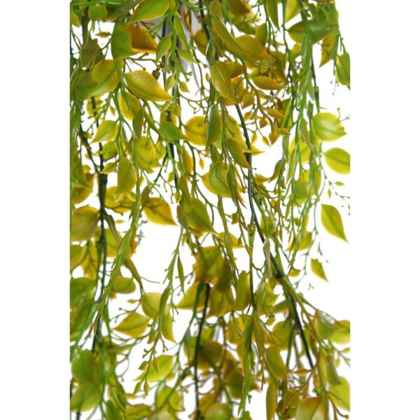 ENREDADERA COLGANTE 75CM - Imagen 2